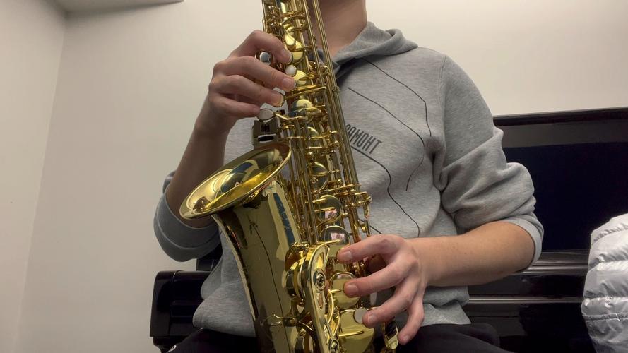 哪些学校有艺考萨克斯专业？-第3张图片-泰美艺术培训