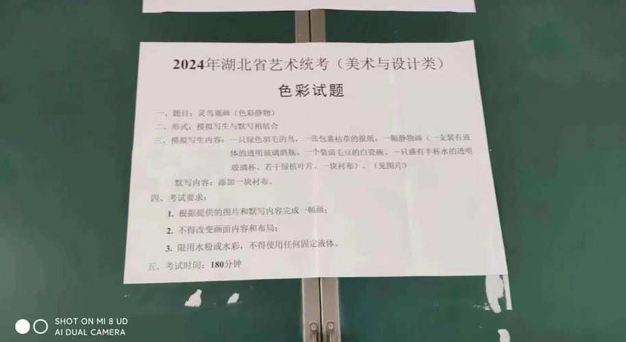 2012湖北美术联考分数线是多少？-第1张图片-泰美艺术培训