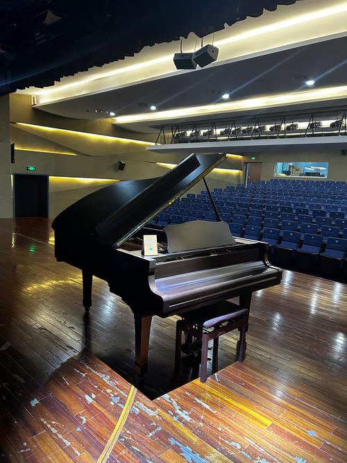 天津音乐学院钢琴招生有何要求？-第3张图片-泰美艺术培训