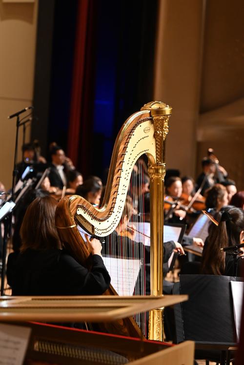 江西省2025年音乐有何新变化?-第2张图片-泰美艺术培训 江西省2025年音乐有何新变化?-第2张图片-泰美艺术培训