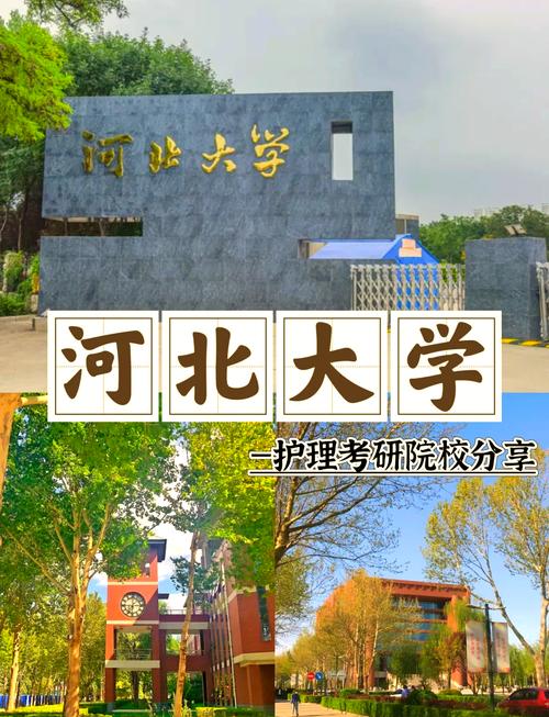 哪些院校承认河北编导联考成绩？-第2张图片-泰美艺术培训