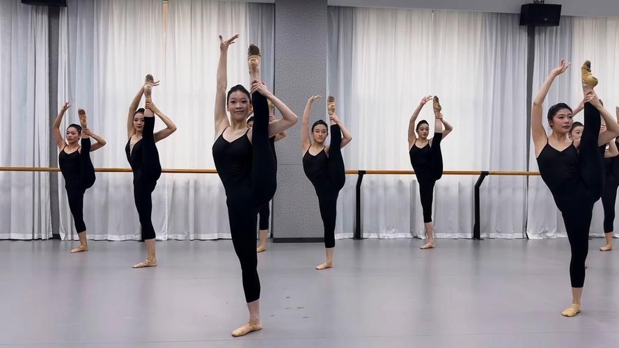 2025山艺舞蹈艺考考什么？-第1张图片-泰美艺术培训
