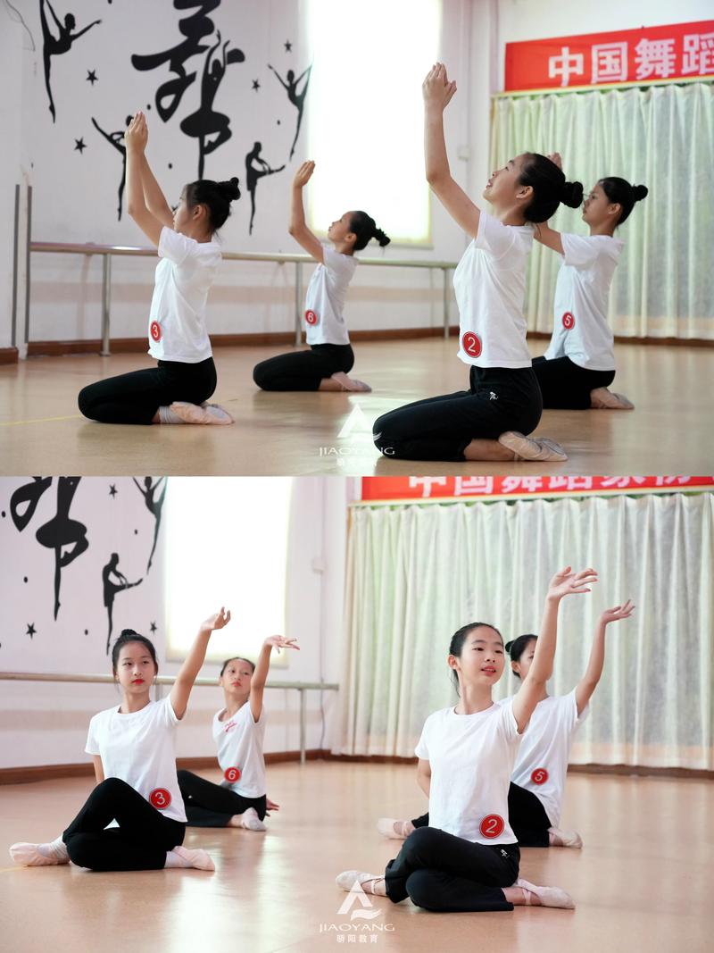 湘南学院舞蹈校考具体考哪些内容？-第3张图片-泰美艺术培训