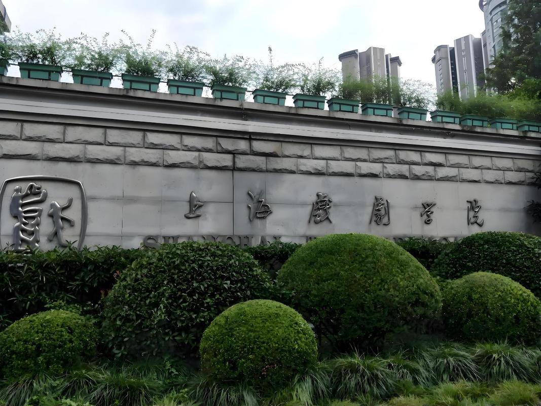 上海哪些大学能参加艺考？-第2张图片-泰美艺术培训