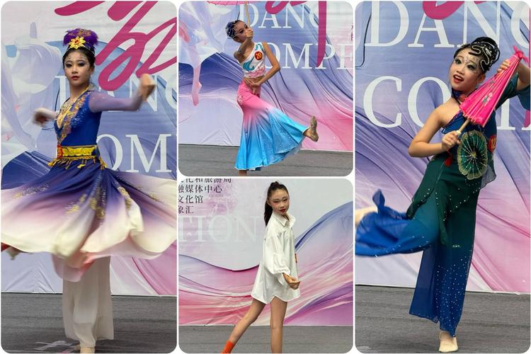 2025舞蹈艺体生文化课分数线多少？-第3张图片-泰美艺术培训