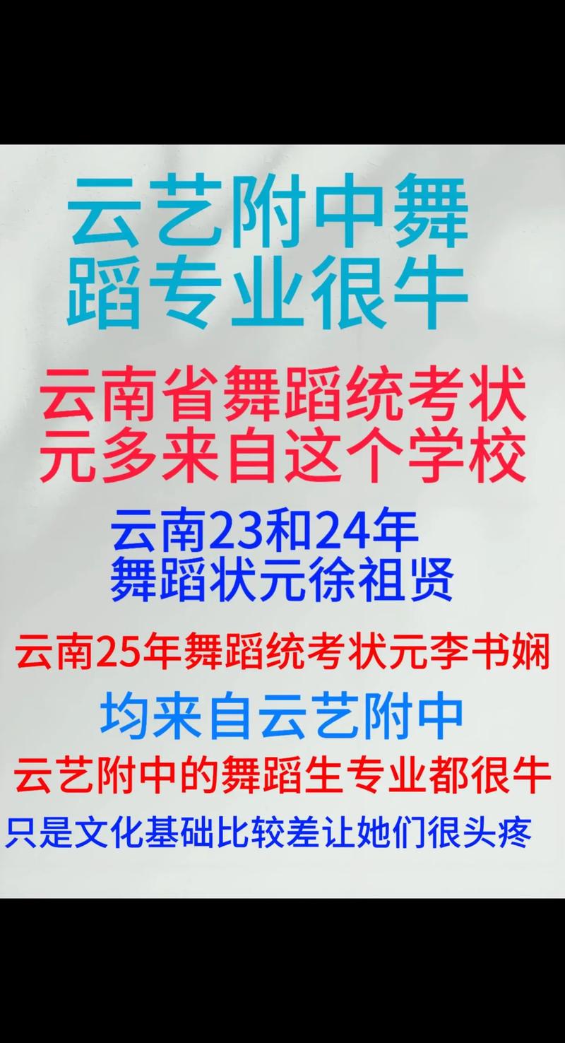 云南舞蹈统考哪些高校承认？-第3张图片-泰美艺术培训