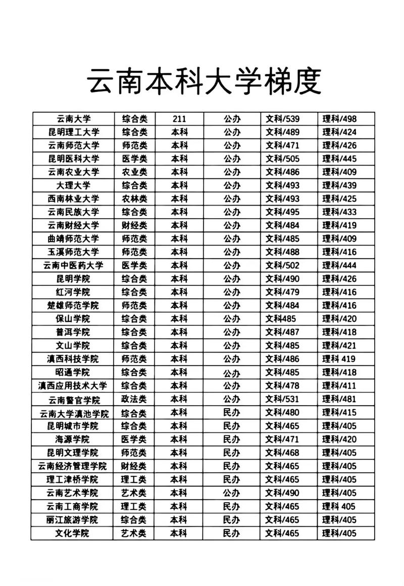 云南舞蹈统考哪些高校承认？-第2张图片-泰美艺术培训