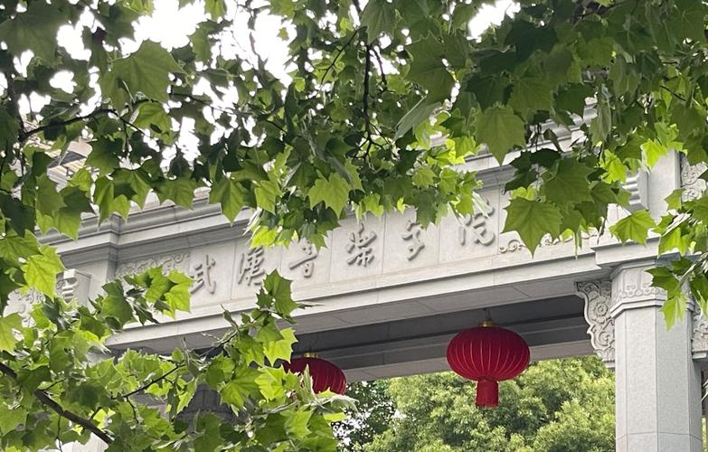 武汉有哪些音乐类学校？-第1张图片-泰美艺术培训