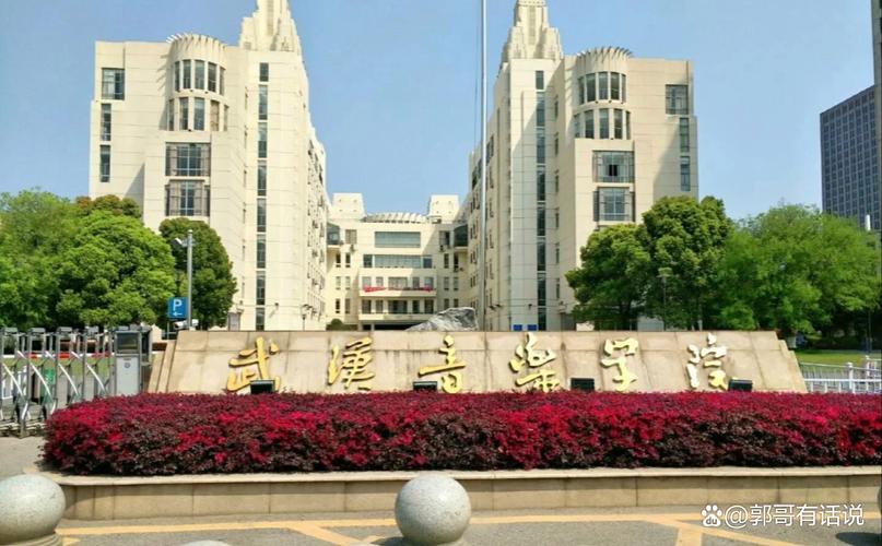 武汉有哪些音乐类学校？-第2张图片-泰美艺术培训