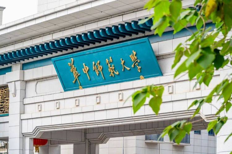 2025华中师范艺考何时报名？有何新变化？-第2张图片-泰美艺术培训