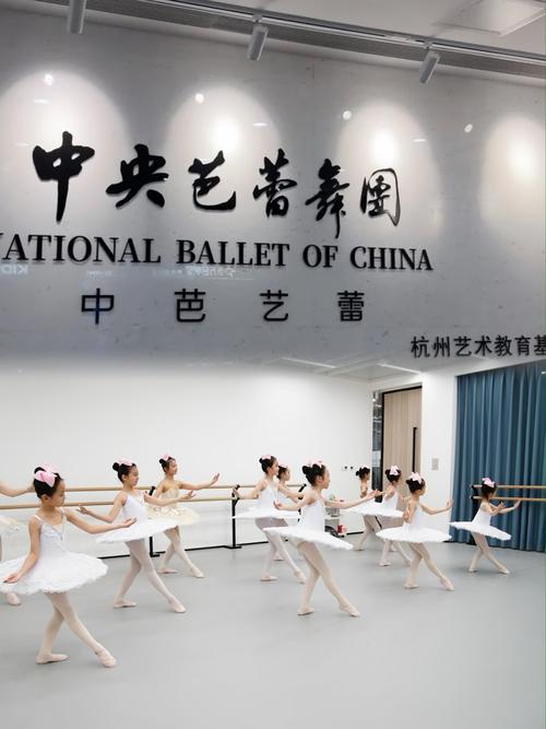 天津有哪些专业舞蹈学校？-第3张图片-泰美艺术培训