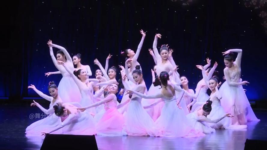 宜春学院舞蹈系2025年招生计划如何？-第1张图片-泰美艺术培训