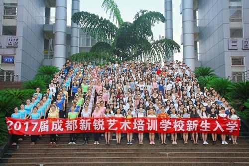 成都新锐艺考优势项目有何特色？-第1张图片-泰美艺术培训