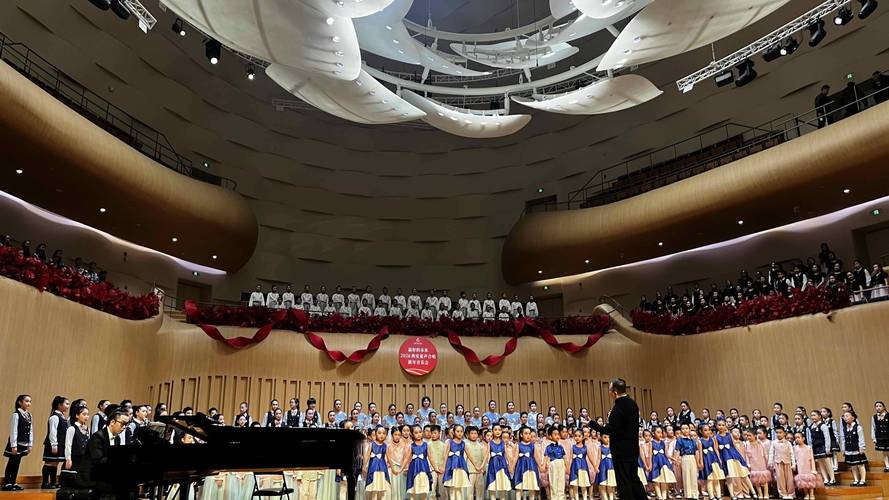 西安美院音乐表演有何特色与优势？-第1张图片-泰美艺术培训