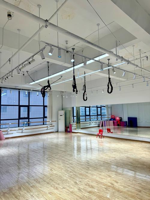 专业体育舞蹈培训怎么选？-第2张图片-泰美艺术培训