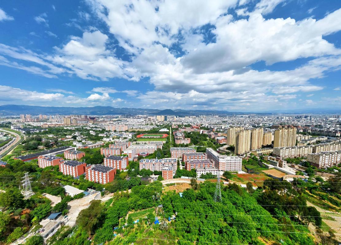 宝山学院美术2025有何新规划？-第1张图片-泰美艺术培训