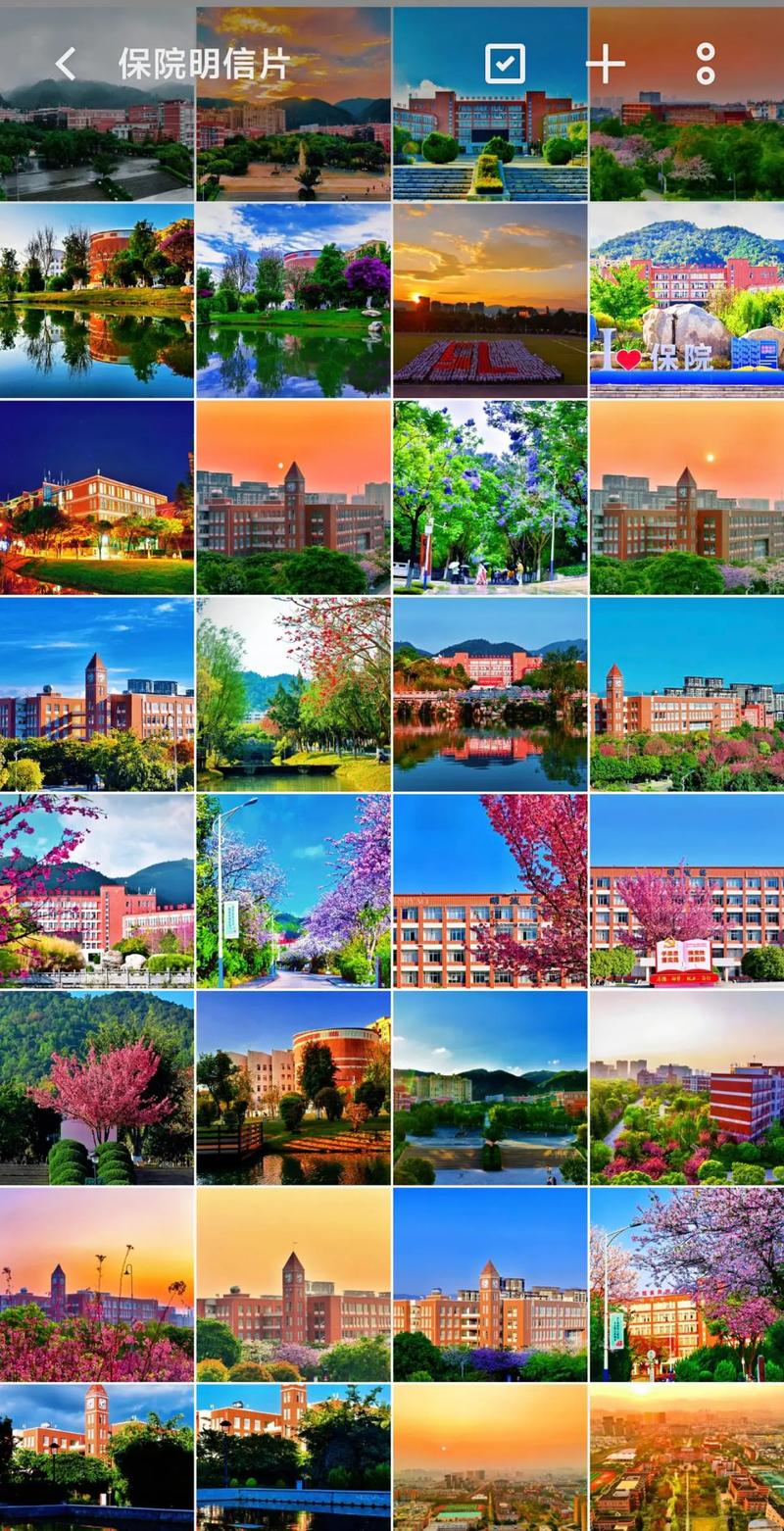 宝山学院美术2025有何新规划？-第2张图片-泰美艺术培训