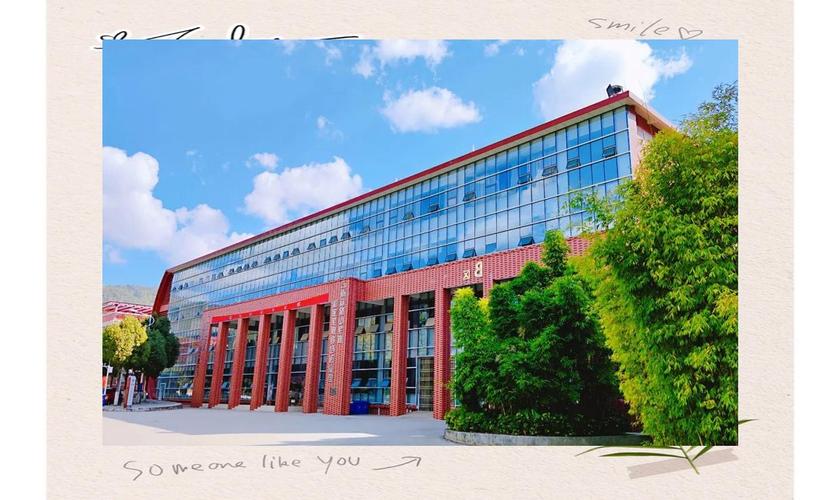 宝山学院美术2025有何新规划？-第3张图片-泰美艺术培训