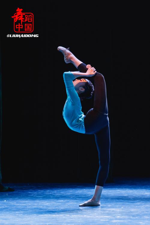 沈阳音乐学院附属中专有何特色与优势？-第3张图片-泰美艺术培训