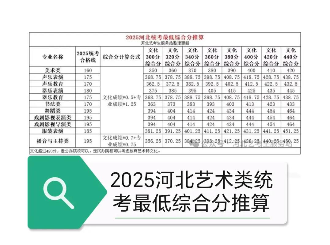 河北舞蹈生综合分456-第1张图片-泰美艺术培训