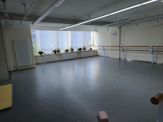 辽宁有哪些舞蹈学校值得推荐？-第1张图片-泰美艺术培训