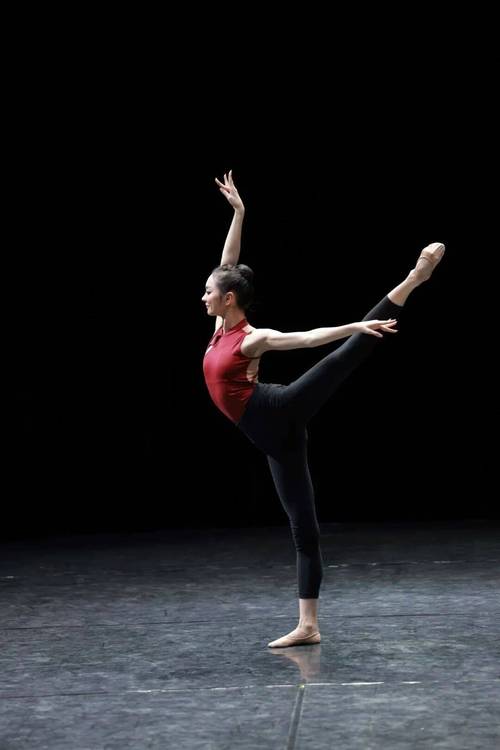 2025在河南舞蹈单招-第2张图片-泰美艺术培训