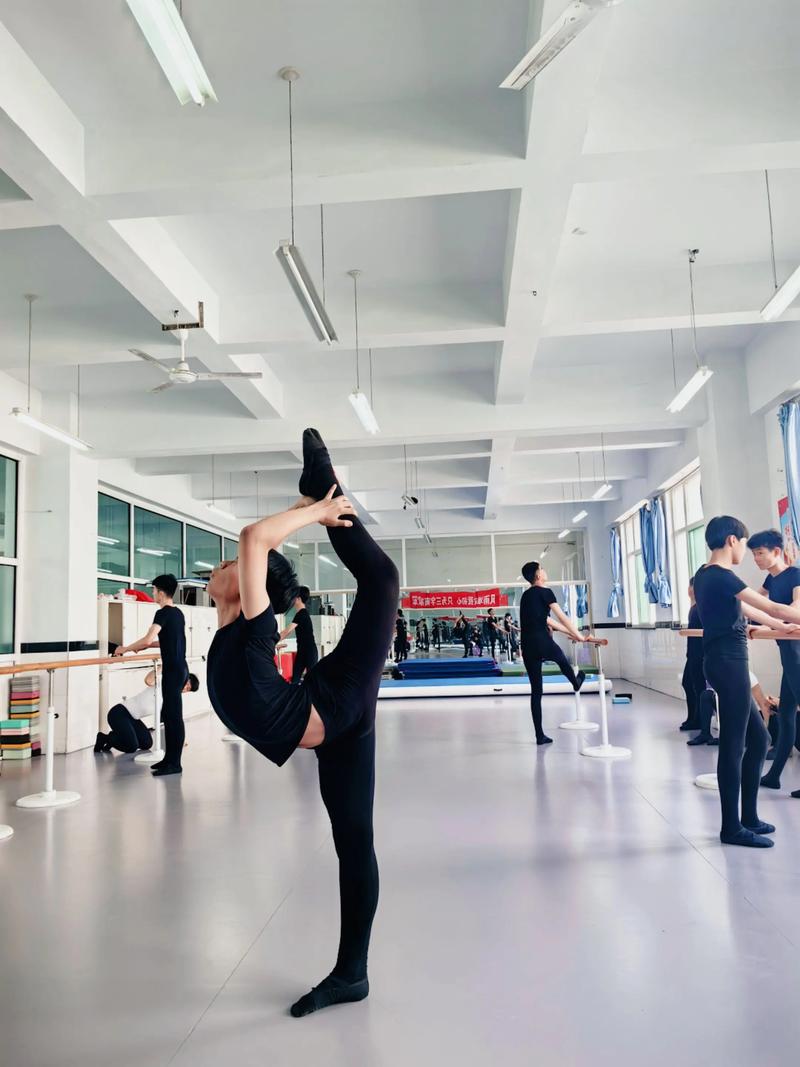 广州体育学院舞蹈进修如何申请？-第1张图片-泰美艺术培训