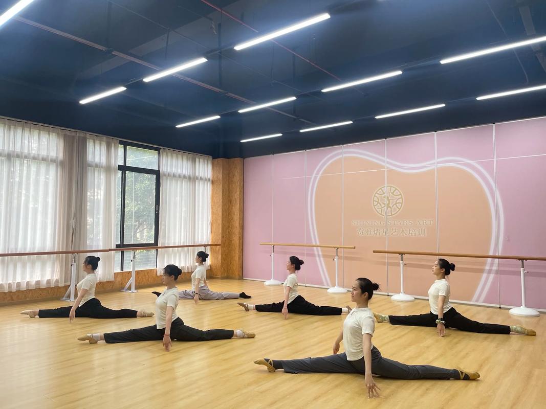 广州体育学院舞蹈进修如何申请？-第2张图片-泰美艺术培训