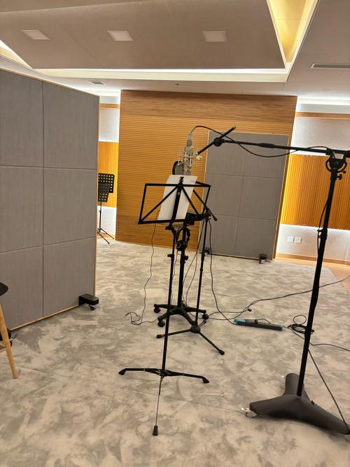 绵阳艺考培训录音专业怎么选？-第2张图片-泰美艺术培训