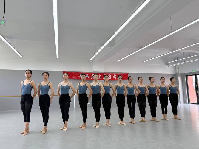 宁夏高考舞蹈专业考哪些科目？-第3张图片-泰美艺术培训