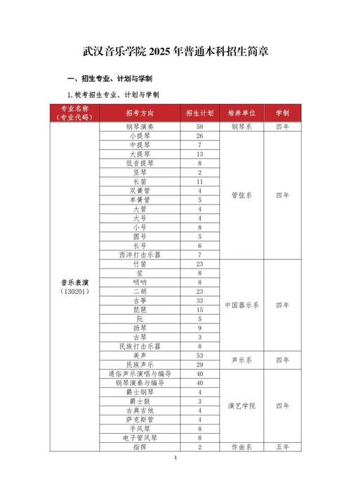 武汉音乐学院专业怎么选最合适？-第1张图片-泰美艺术培训