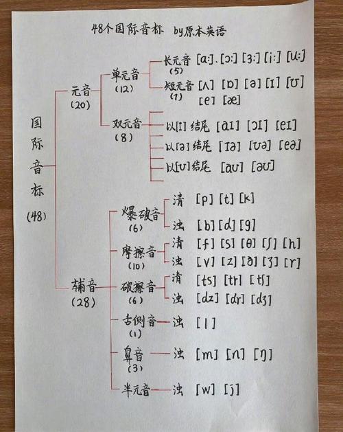 西南大学音乐学院音标是什么？-第2张图片-泰美艺术培训