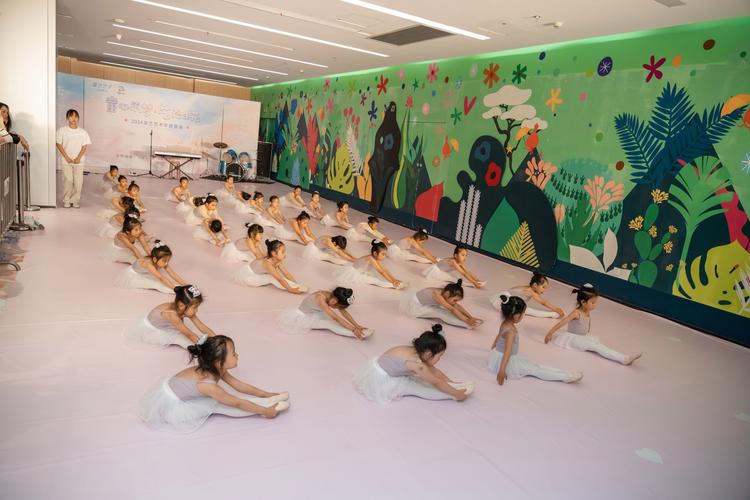 艺术生学舞蹈，文化课怎么办？-第1张图片-泰美艺术培训