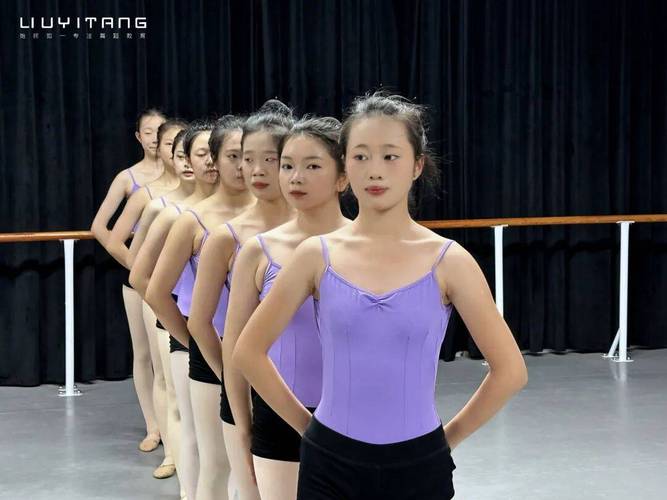 2025年舞蹈艺考学校-第1张图片-泰美艺术培训