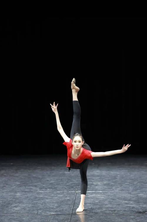 2025年舞蹈艺考学校-第3张图片-泰美艺术培训