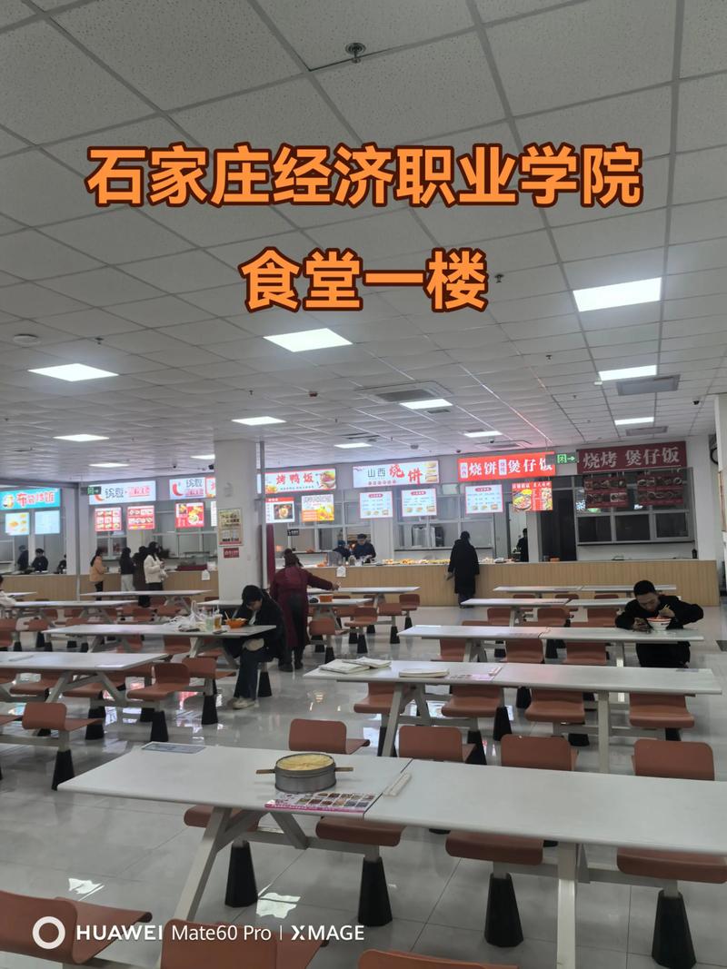 石家庄学院舞蹈专科怎么样？-第3张图片-泰美艺术培训